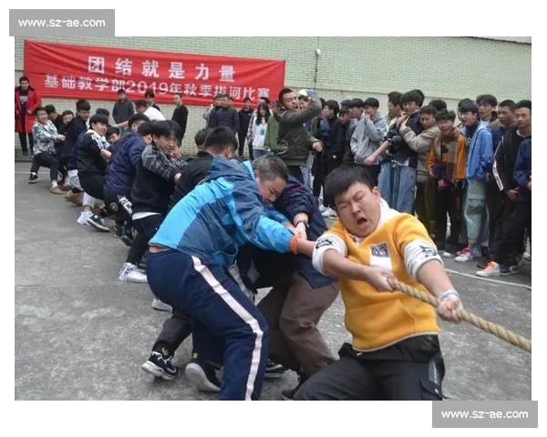 团结与坚持的力量在拔河比赛观后感中的生动呈现与深刻启示意义思